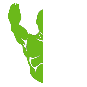 Evolve Boxing Academy